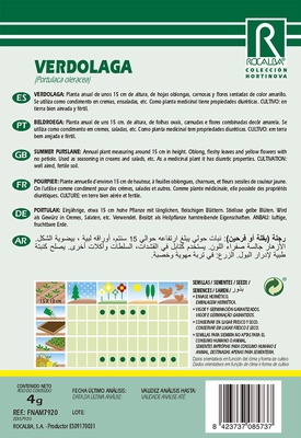 Semilla Verdolaga