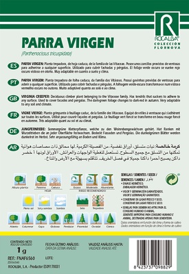 Semilla Parra Virgen -parthenocisus Tricuspidata