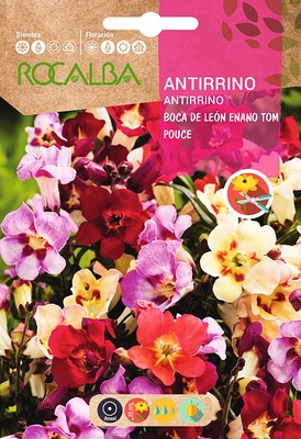 Semilla Antirrino Boca de Leon Enano Tom Pouce