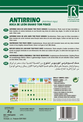 Semilla Antirrino Boca de Leon Enano Tom Pouce