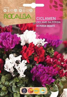 Semilla Ciclamen de Persia Gigante, Variado