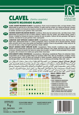 Semilla Clavel Gigante Mejorado Blanco