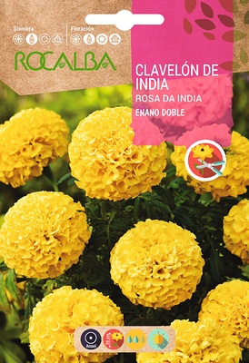 Semilla Clavelon Rosa de India Enano Doble,amar.