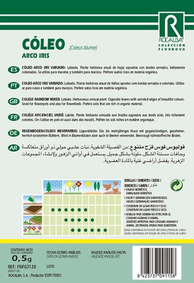 Semilla Coleos Arco Iris Variado