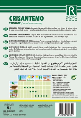 Semilla Crisantemo Tricolor Variado