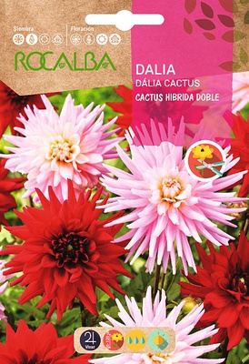 Semilla Dalia Cactus Hibrida Doble Variada