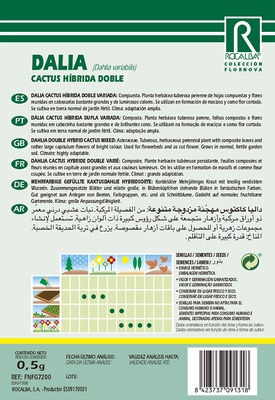 Semilla Dalia Cactus Hibrida Doble Variada