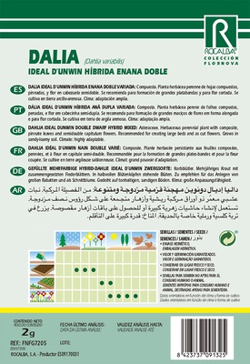 Semilla Dalia Ideal Dunwin Hib. Enana Variada