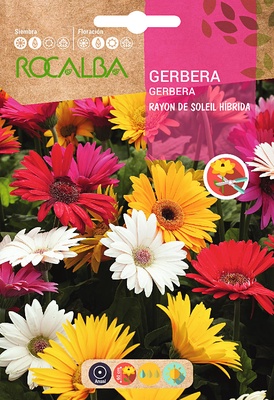 Semilla Gerbera Rayon de Soleil Hibrida