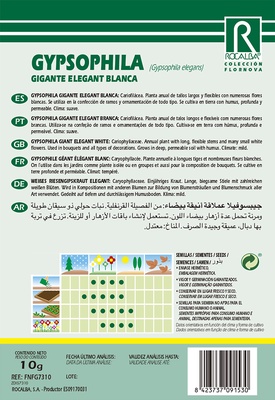 Semilla Gipsofilia Gigante Elegant. blanca