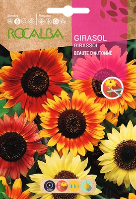 Semilla Girasol Beaute Dautomne Variado