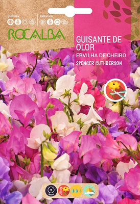 Semilla Guisante de Olor Spencer Cuthberson Variado