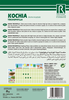 Semilla Kochia Tricophylla Oviforme