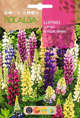 Semilla Lupino Polygylle de Russel Hibrido