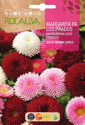 Semilla Margarita de los Prados Super Enorme