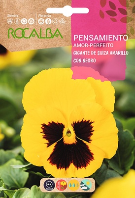 Semilla Pensamiento Gigante de Suiza Amarilla con Negro