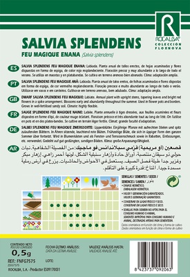 Semilla Salvia Splendens Feu Magique Enana