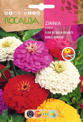 Semilla Zinia Flor de Dalia Gigante Doble Variada