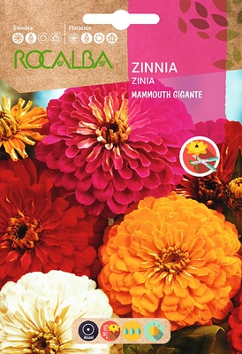 Semilla Zinia Mammouth Gigante Variada
