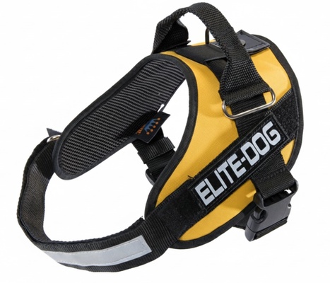 Arnes Elite Dog Talla 1