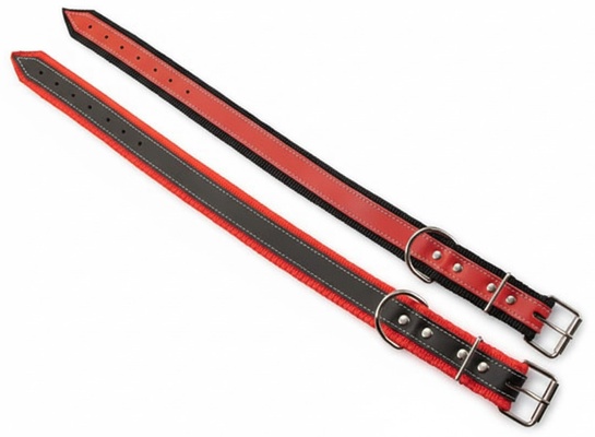 Collar Cinta  Anilla Corrediza 70 x 4 cm.