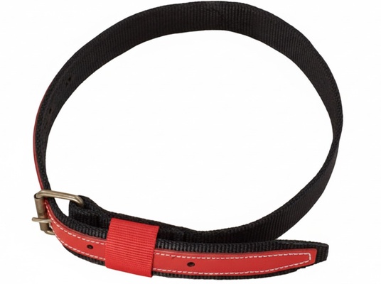 Collar Serraje/cinta Anilla Corrediza 1