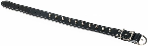 Collar Cuero Acolchado 65cm