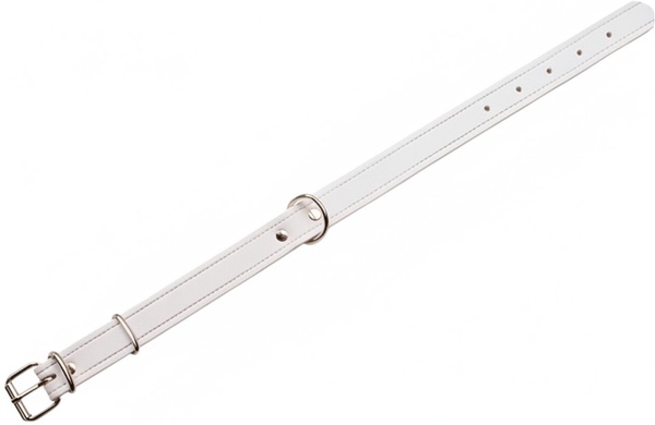 Collar Cuero Cromo 50 x 2,5 cm.