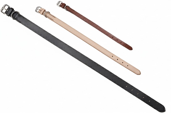 Collar Cuero Sillero 32 x 1,2 cm