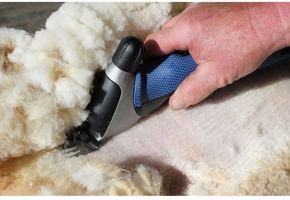 Esquiladora Ovino Xpert Heiniger 2 Speeds 250 Watios