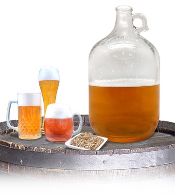 Set de Cerveza Casera