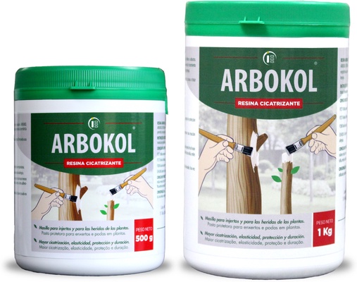 Arbokol Resina Pasta Cicatrizante 1 kg