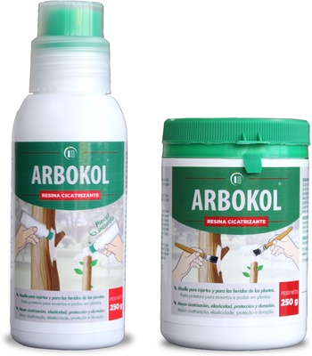 Arbokol Pasta Cicatrizante 250 gr Arbokol Pasta Cicatrizante 250 gr
