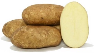 Bandeja Patata de Siembra Kennebec 100 unidades