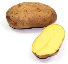 Patata Siembra Agria 35/55 25 kg