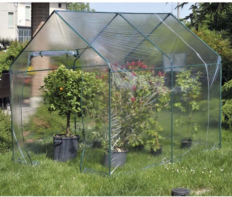 Invernadero Narciso Eco 185x240x205 cm