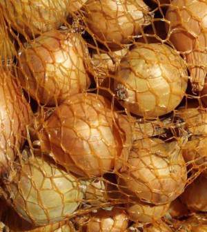 Semilla Bulbo Cebolla Stuttgarter Calibre 21/24 500 Gramos