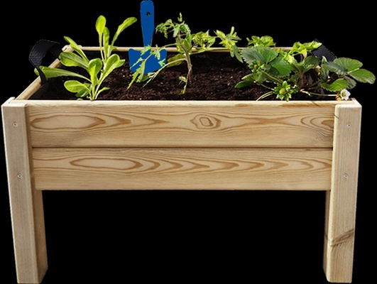 Kit Iniciacion Cultivo Leo