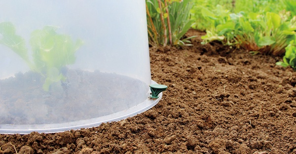 Piqueta Fijacion Campana Sunny 10