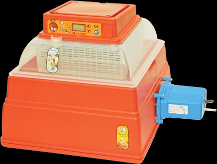 Incubadora Automatica Covatutto 24 Digital