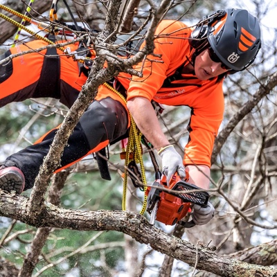Motosierra Poda Husqvarna T525