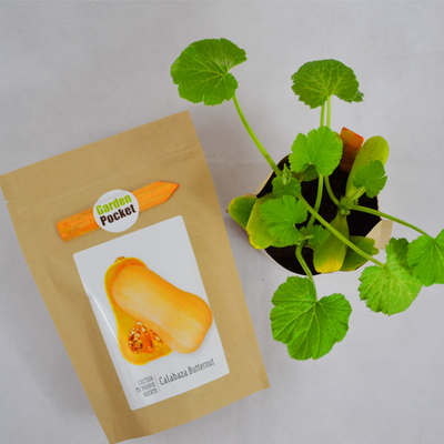 kit Huerto Pocket Calabaza