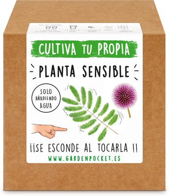 Kit Brotes Pocket Planta Sensible