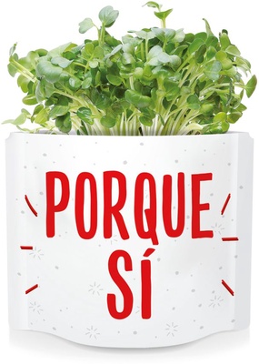 Postal Porque Si -germinados Mostaza