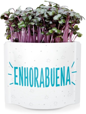 Postal  Enhorabuena -germinados Lombarda