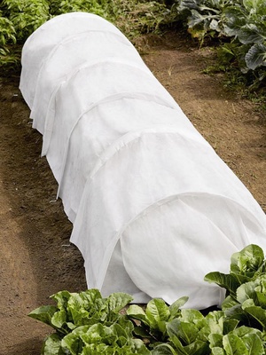 Manta Térmica para proteger a las plantas del frio 