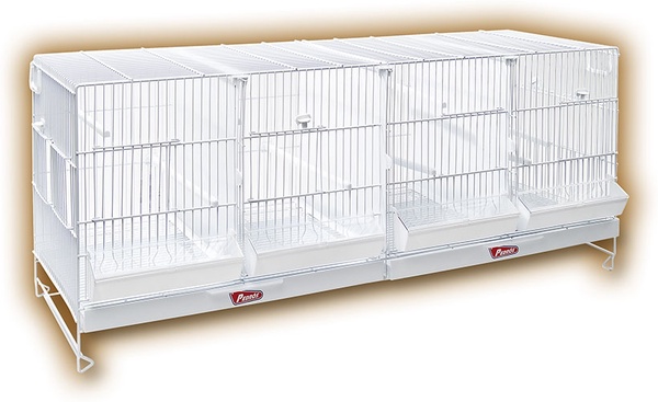 Jaula Pedros Cria Metro Nova Zn