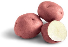 Bandeja Patata Red Pontiac -Piel Roja- 100 Unidades