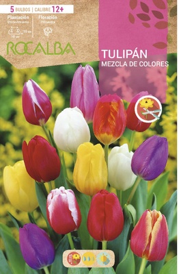 Bulbos Tulipan Variedad Mezcla de Colores
