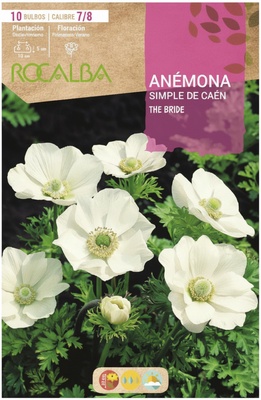 Bulbo Anemonas Simples de Caen 7/8 The Bride Blanco